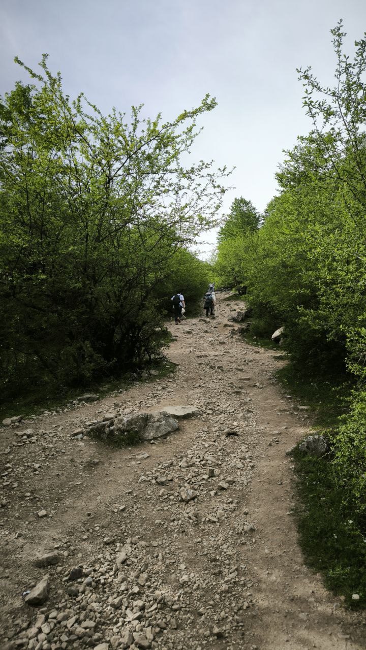 daryasar_plain