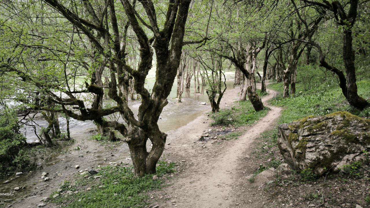 daryasar_plain