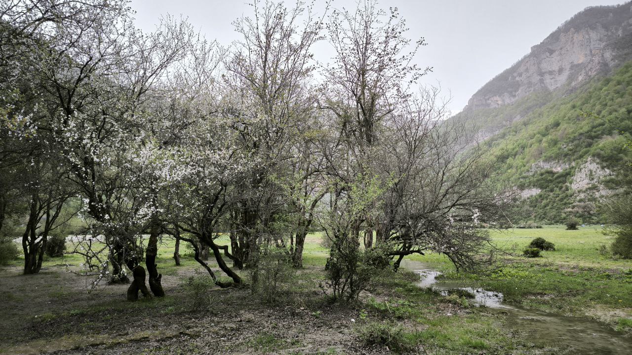 daryasar_plain