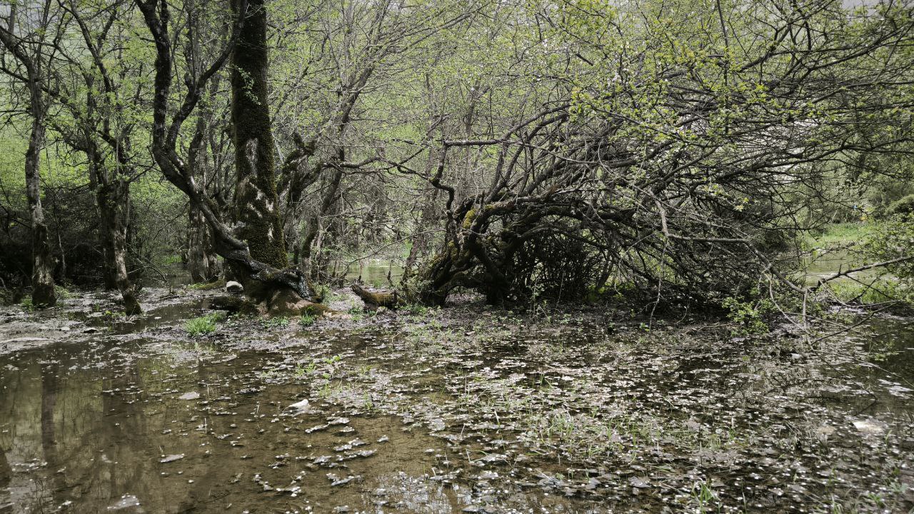daryasar_plain