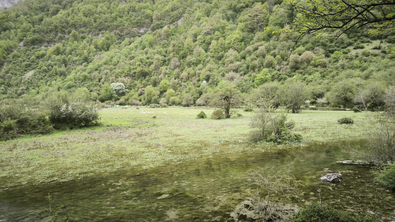 daryasar_plain