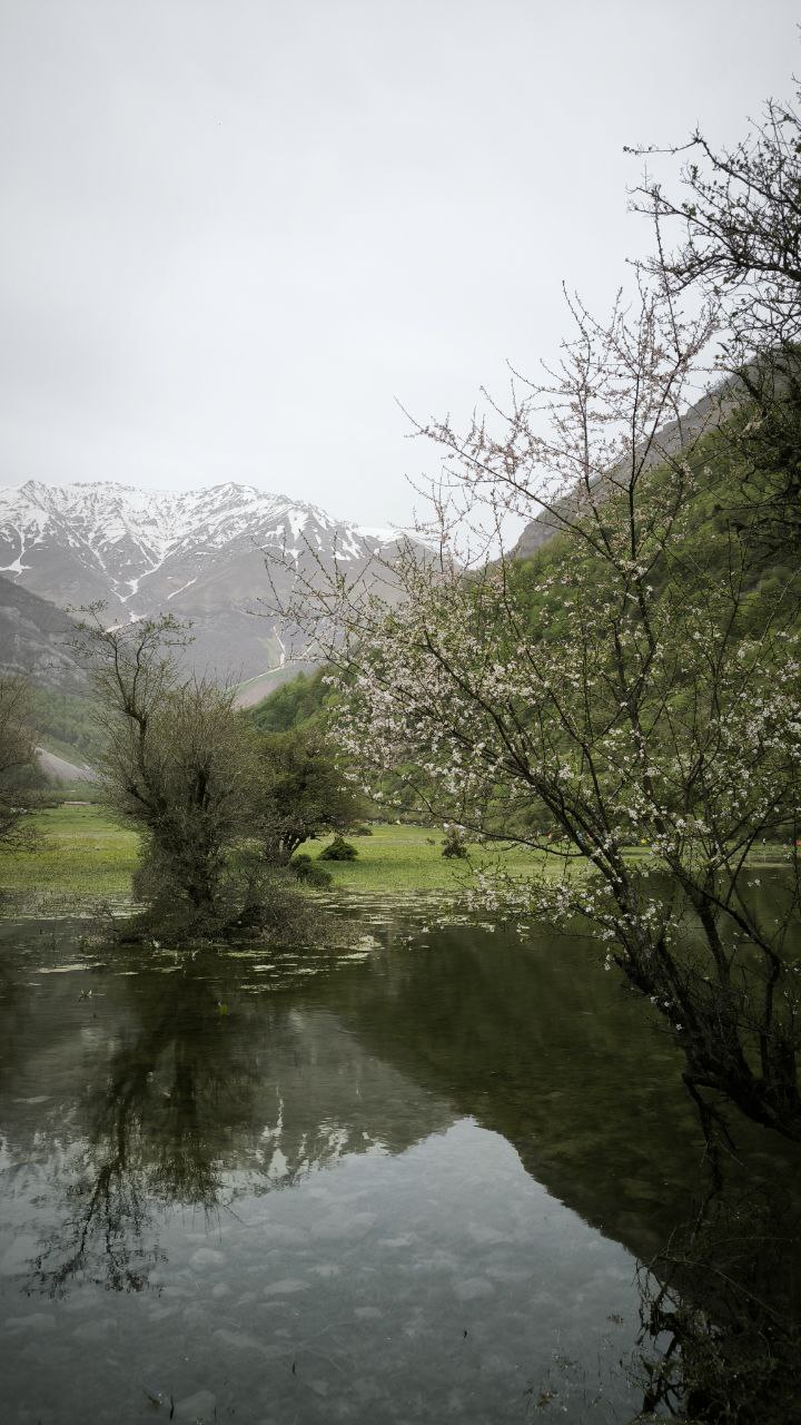 daryasar_plain