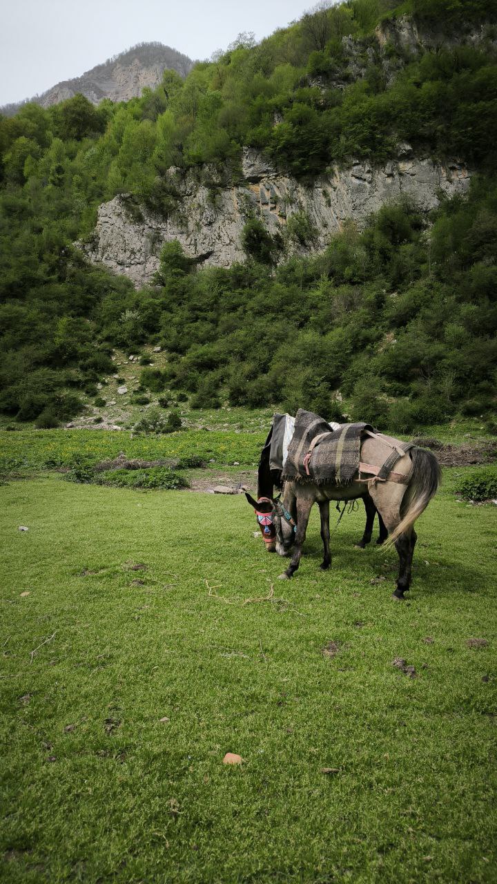 daryasar_plain
