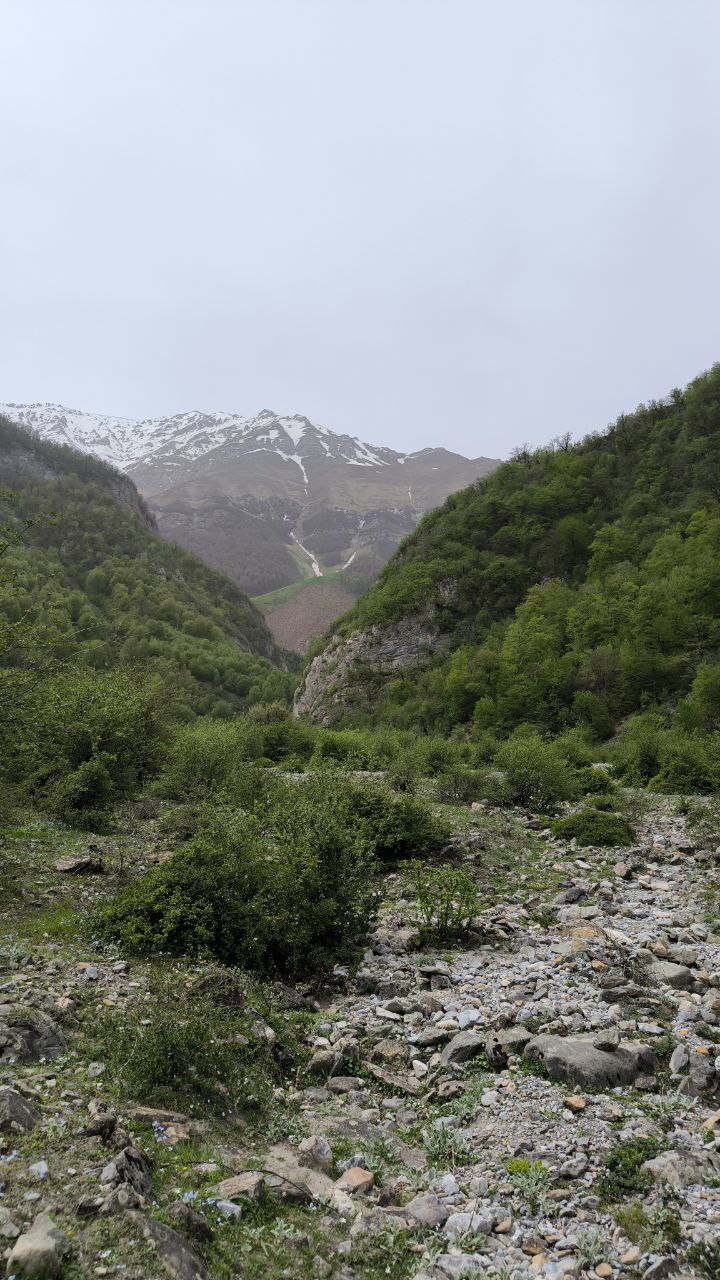 daryasar_plain