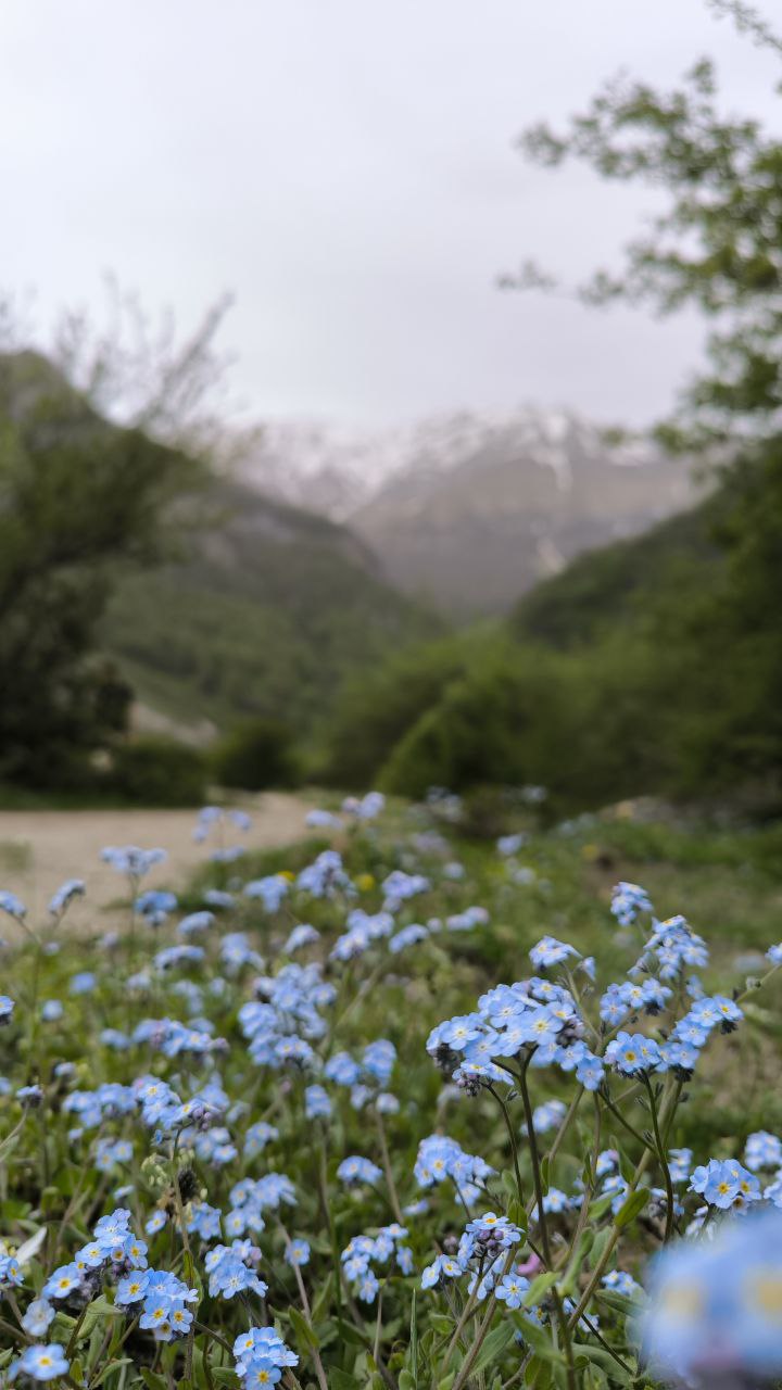 daryasar_plain