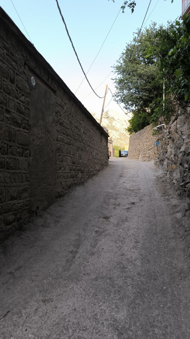 selin_hajij