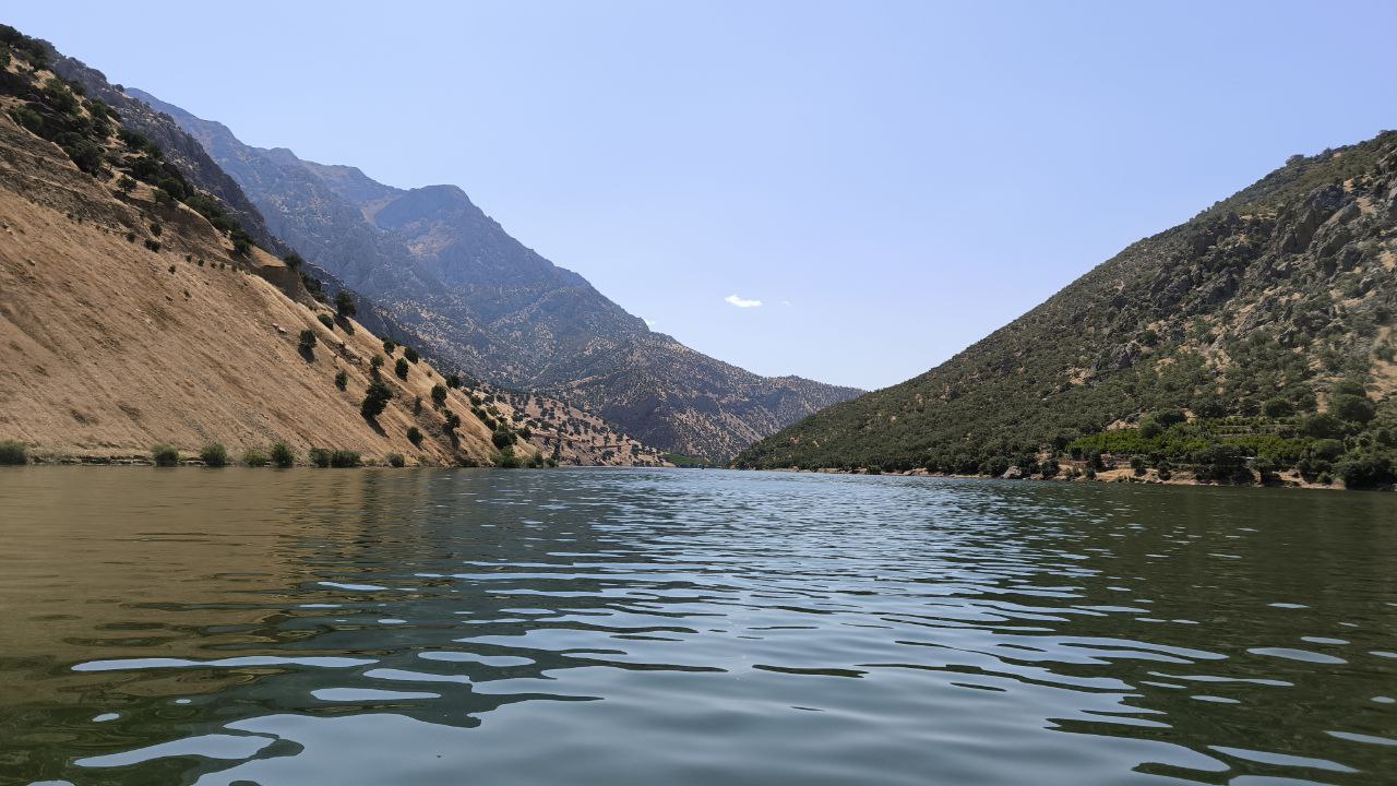 selin_hajij