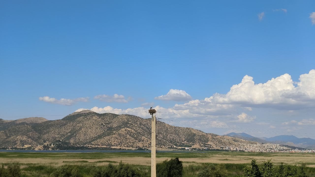 مریوان