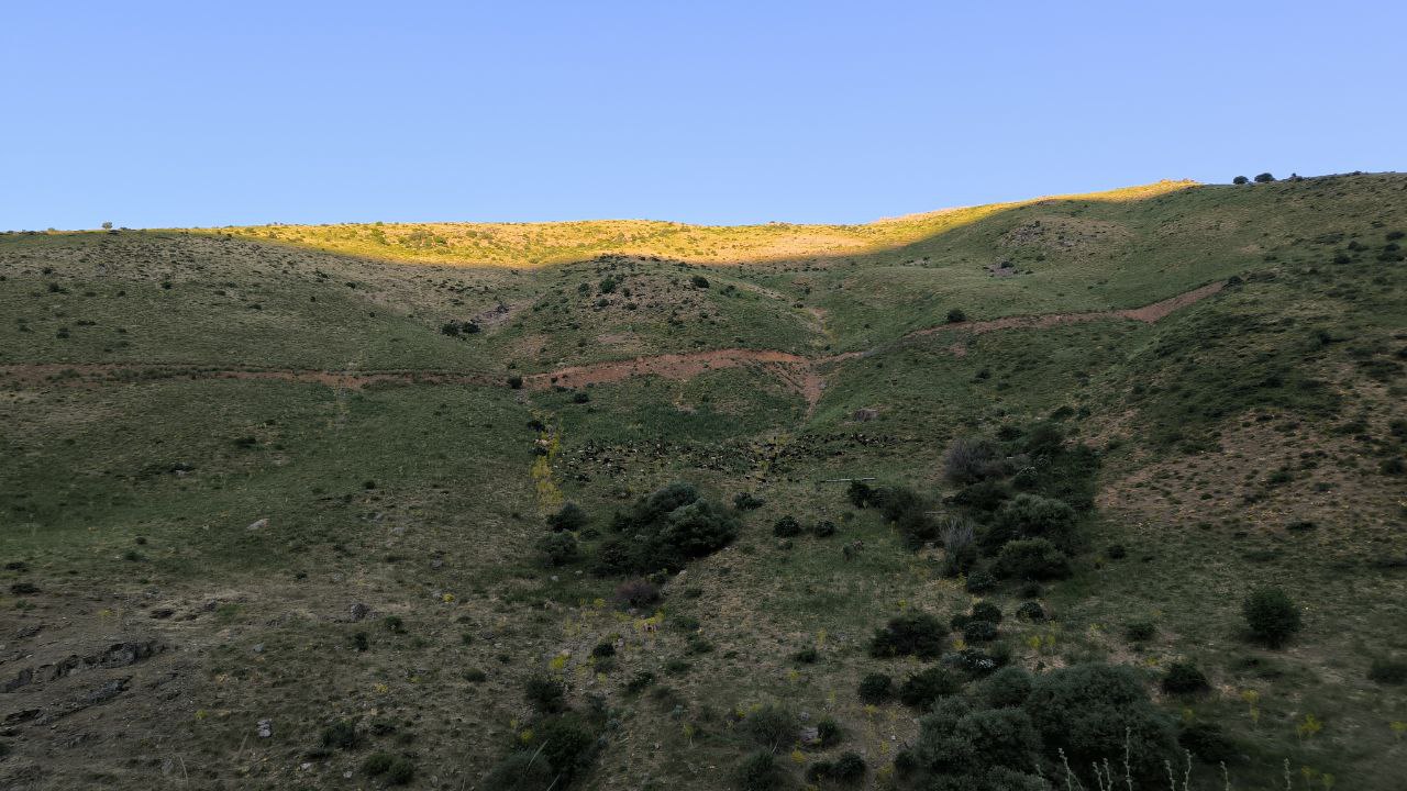 baneh