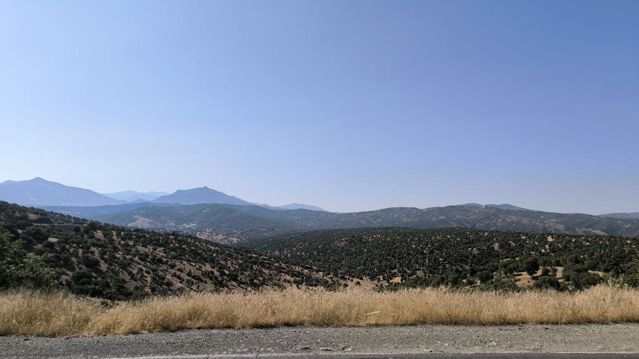 shalmash