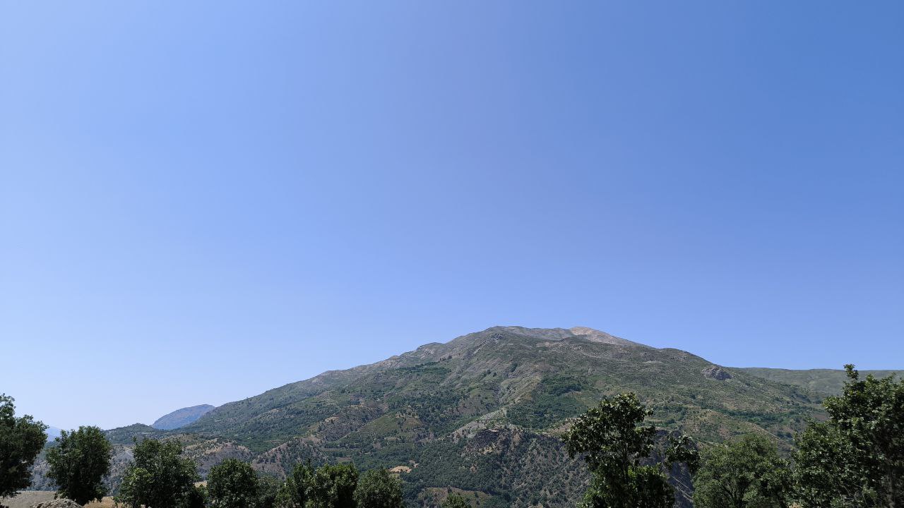 shalmash