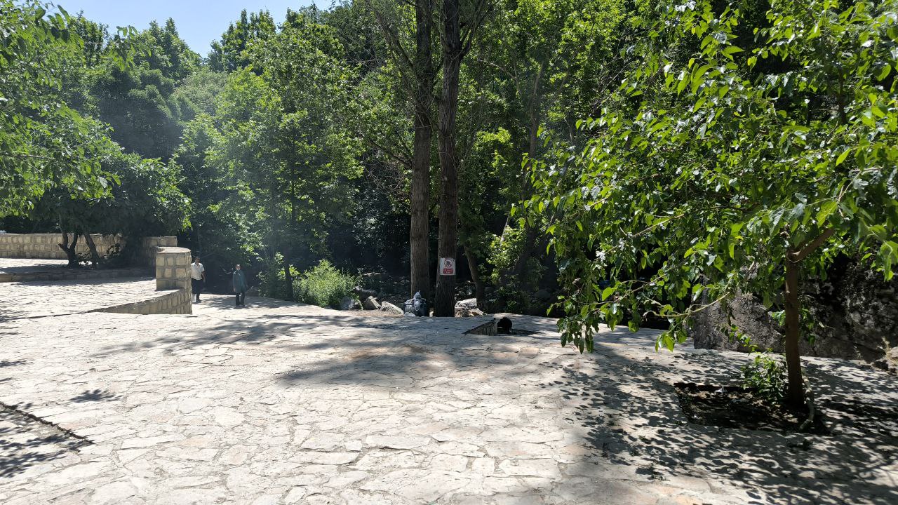shalmash