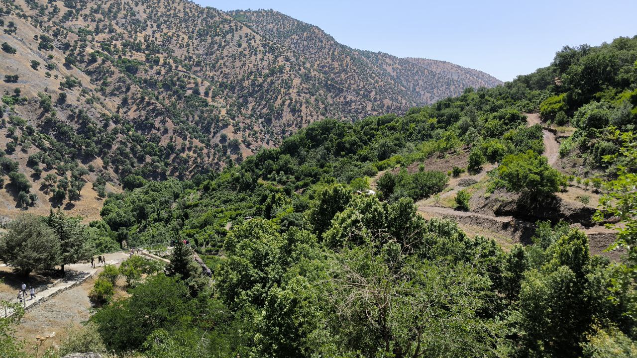 shalmash