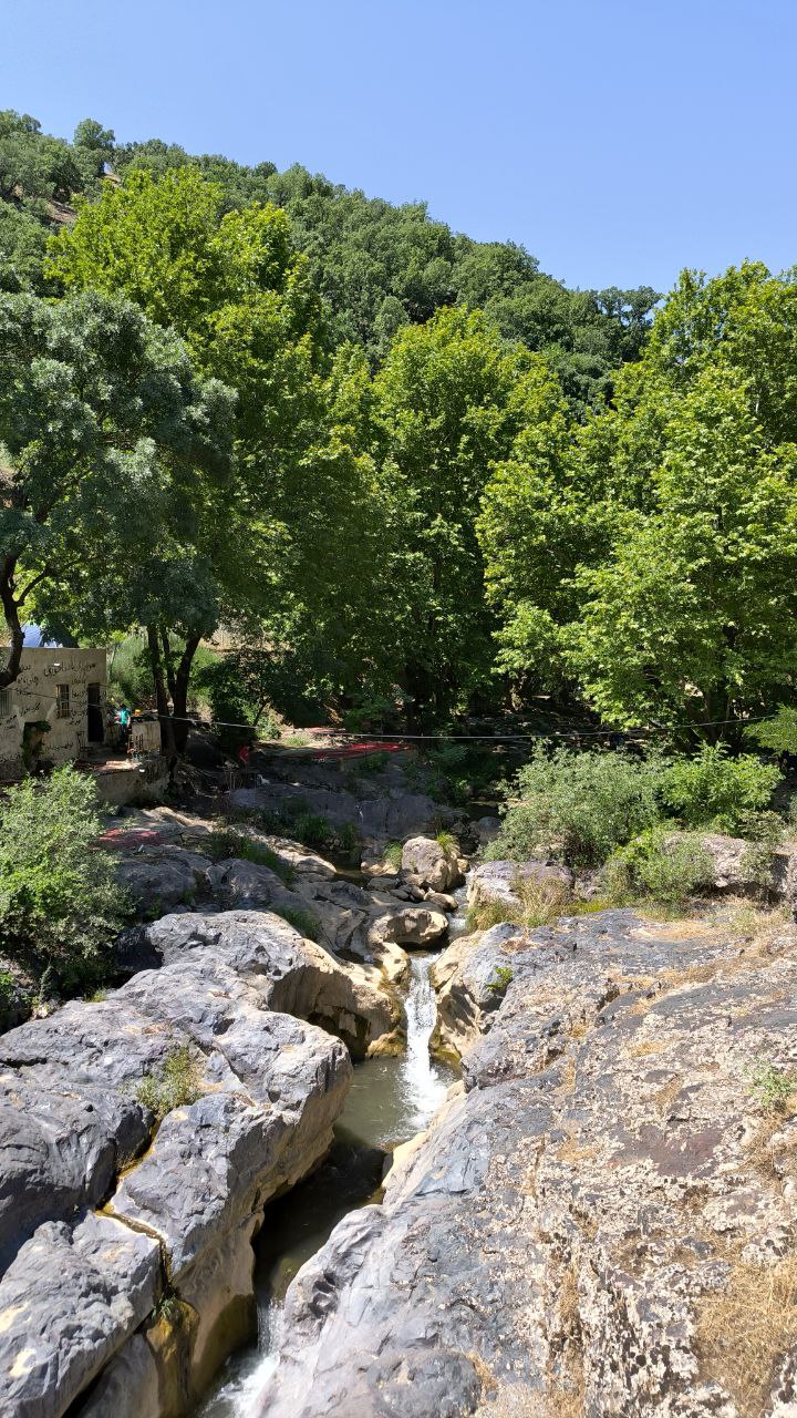 shalmash