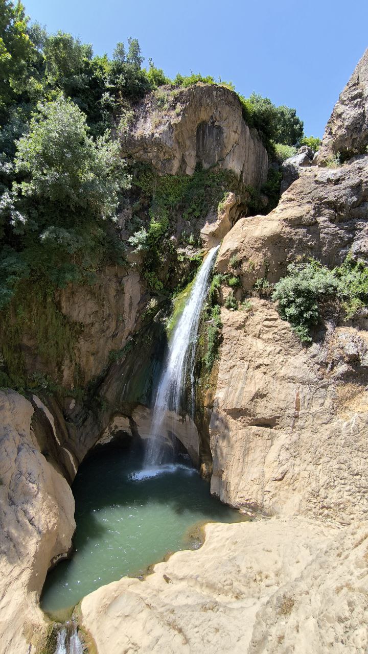 shalmash