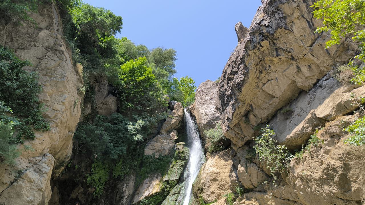 shalmash