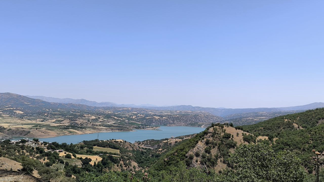 shalmash