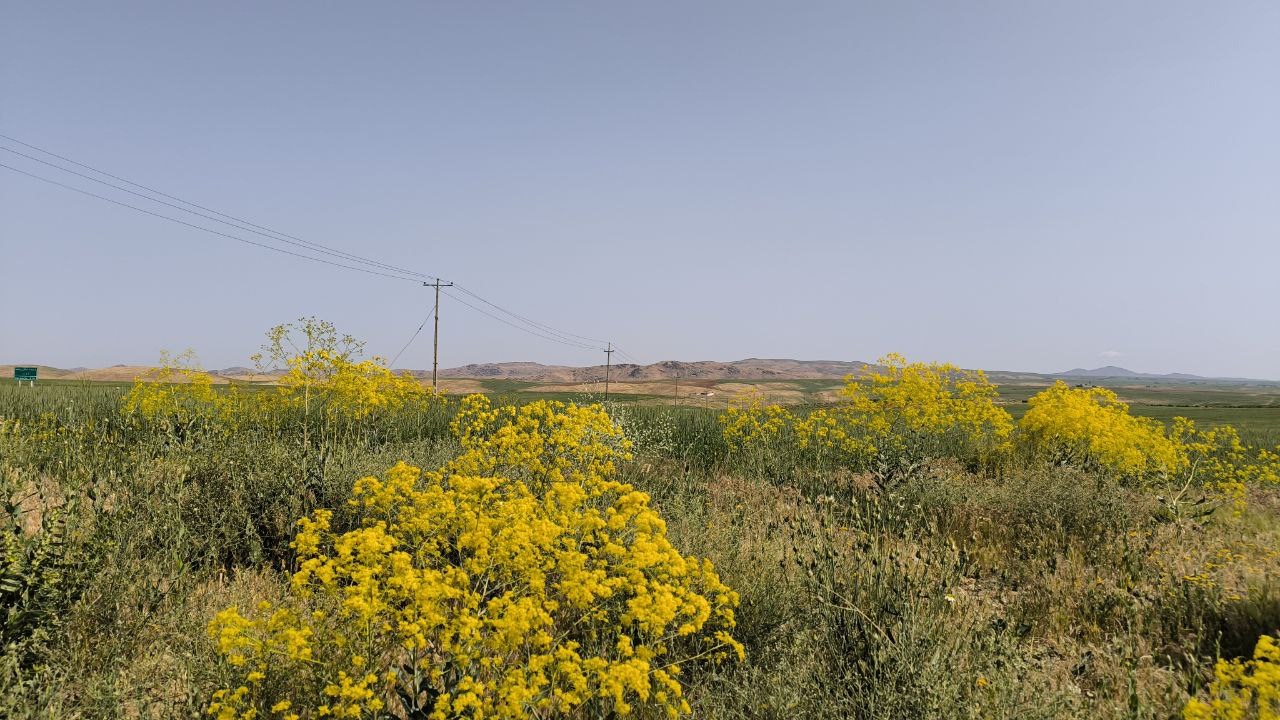karaftu