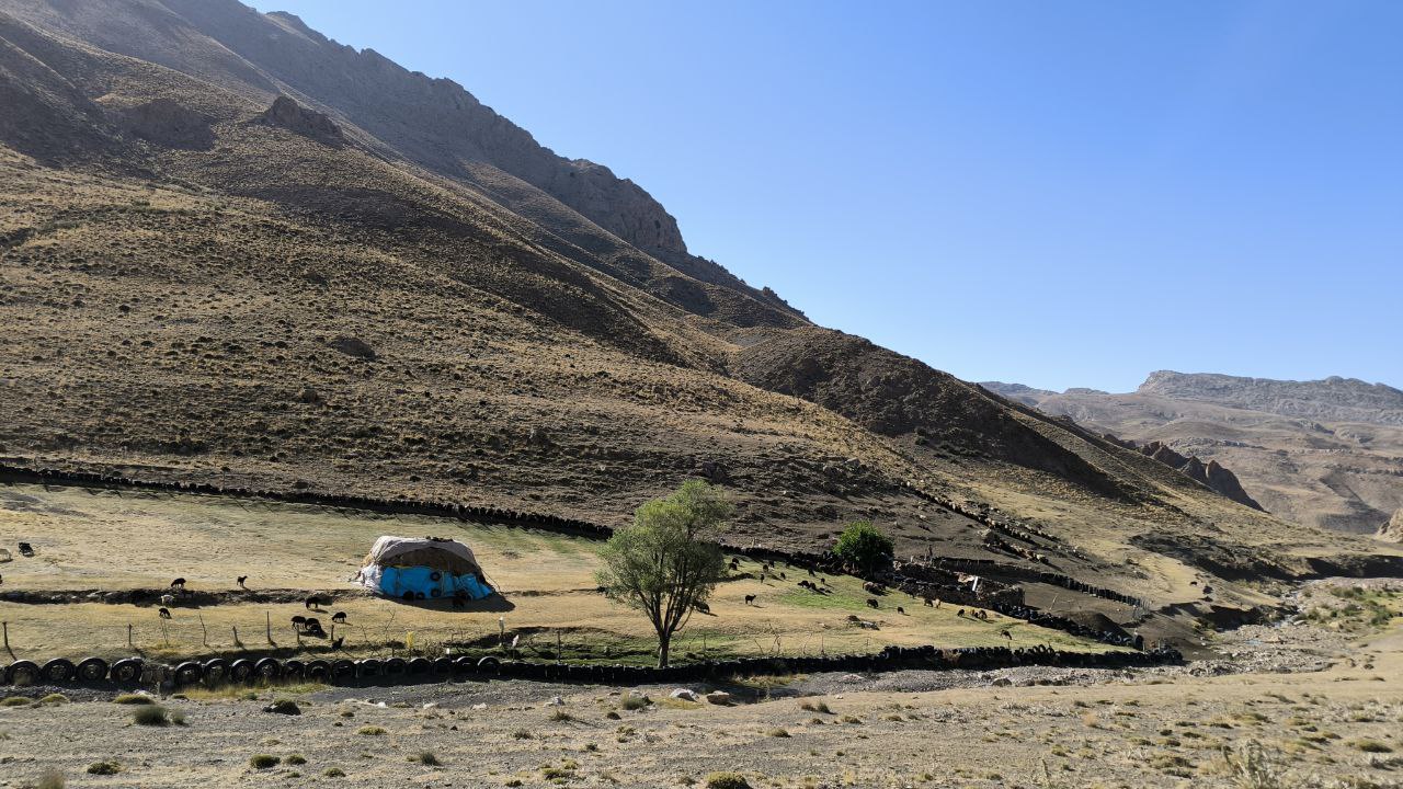 samarra