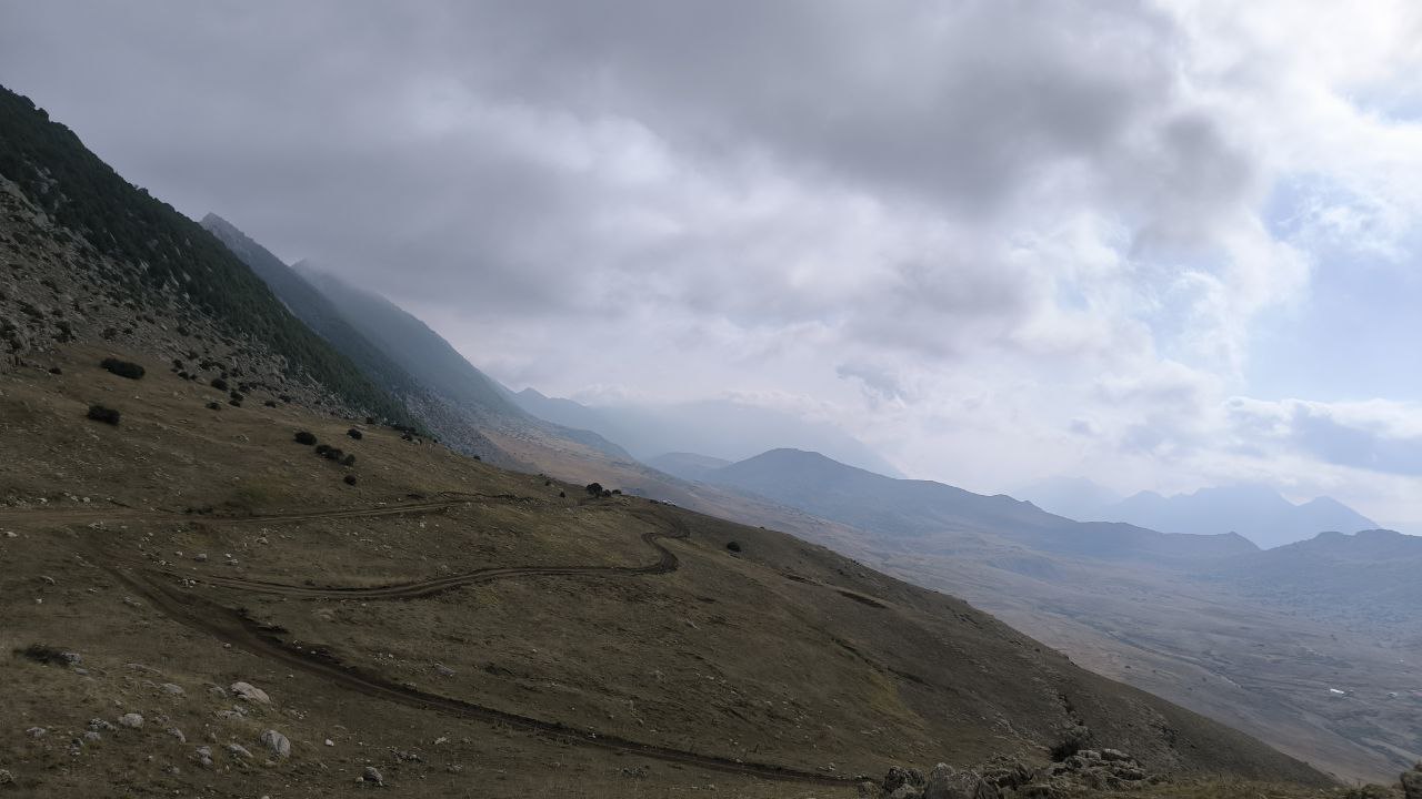samarra
