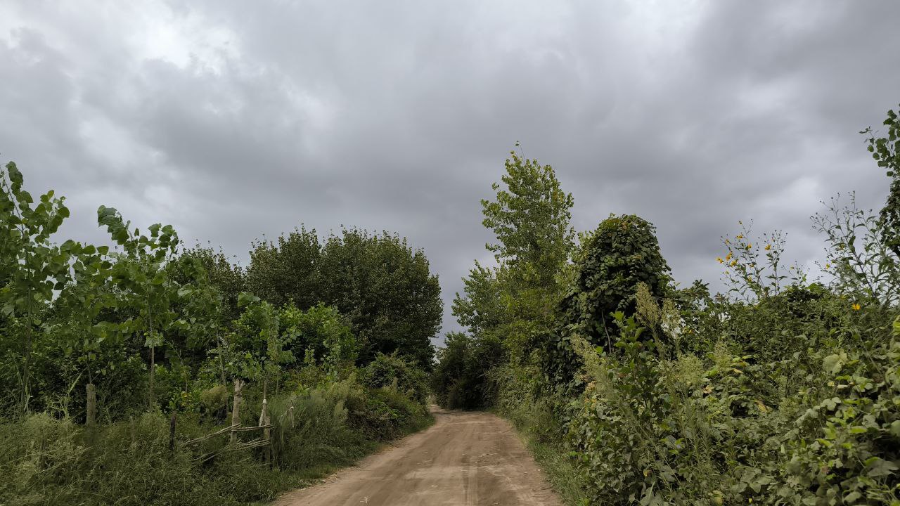 bojaq