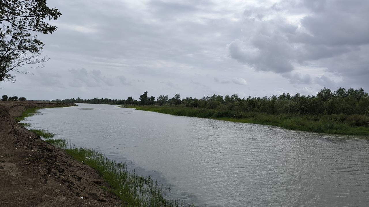 bojaq