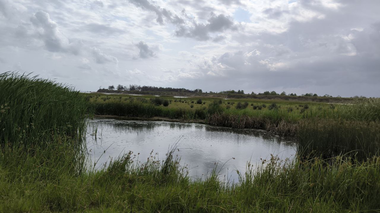 bojaq