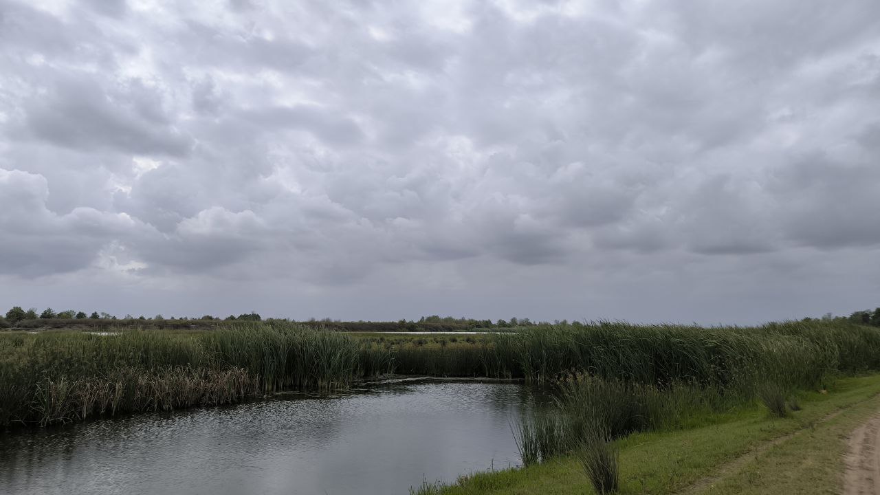 bojaq