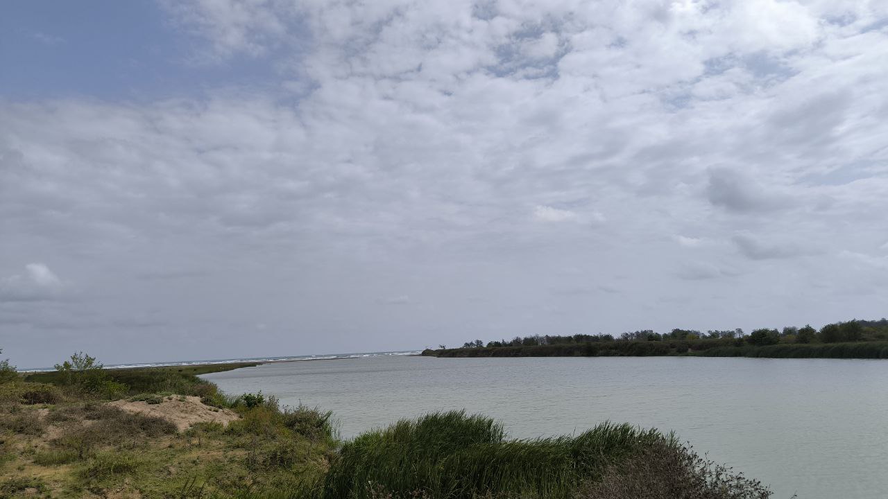 bojaq