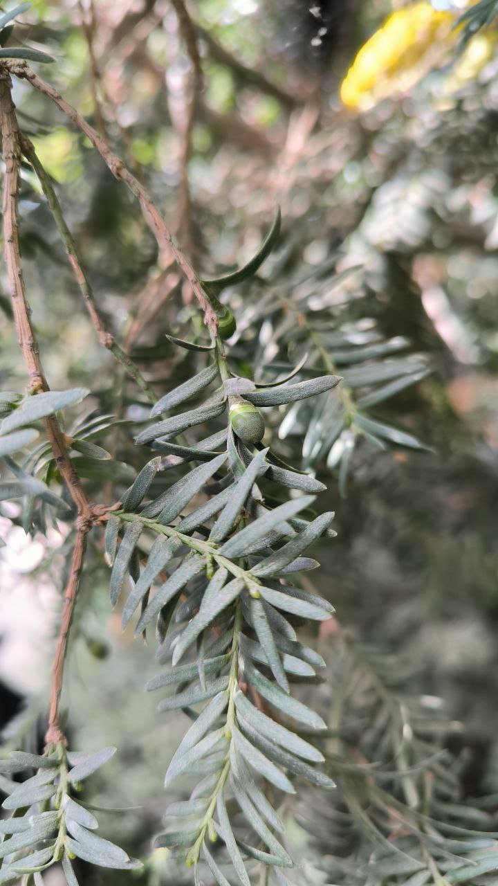 college_of_agriculture_natural_resources_of_university_of_tehran