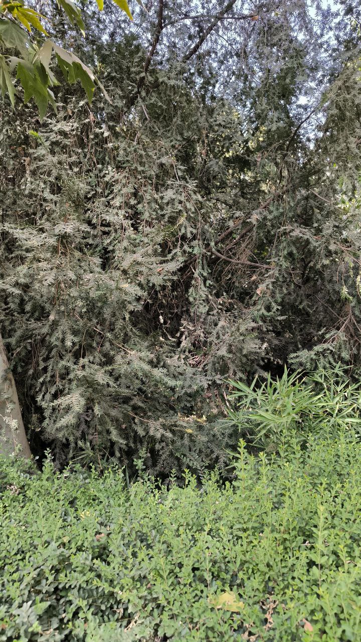 college_of_agriculture_natural_resources_of_university_of_tehran