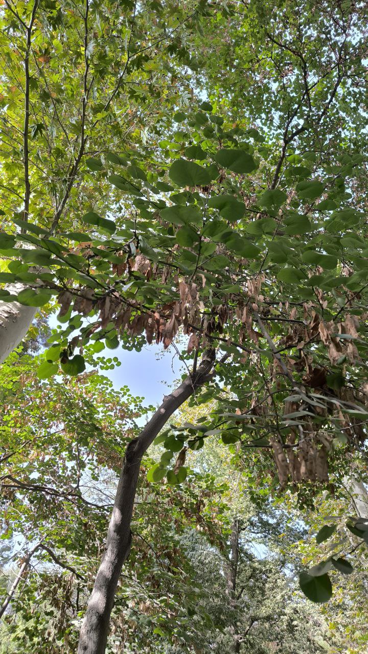 college_of_agriculture_natural_resources_of_university_of_tehran