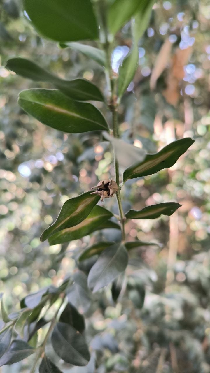 college_of_agriculture_natural_resources_of_university_of_tehran