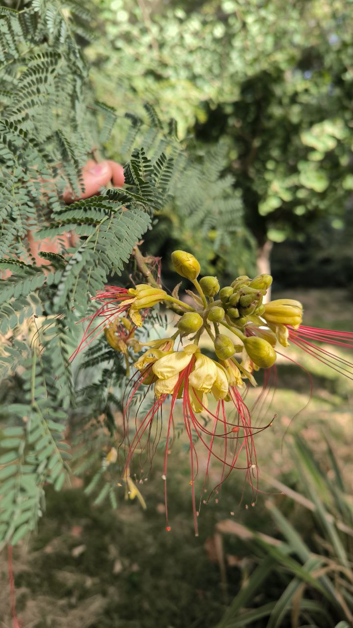 college_of_agriculture_natural_resources_of_university_of_tehran