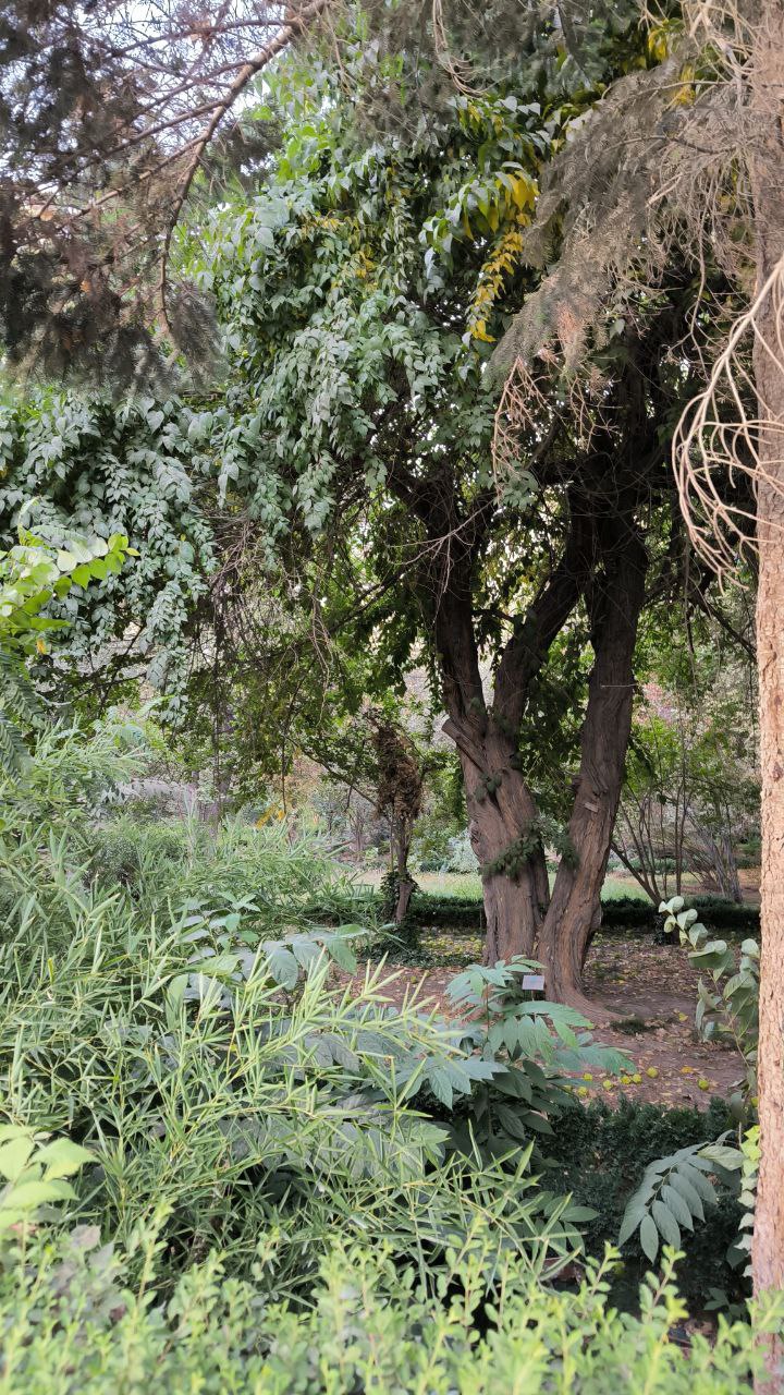 college_of_agriculture_natural_resources_of_university_of_tehran