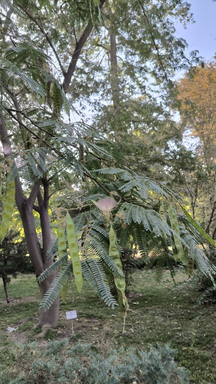 college_of_agriculture_natural_resources_of_university_of_tehran