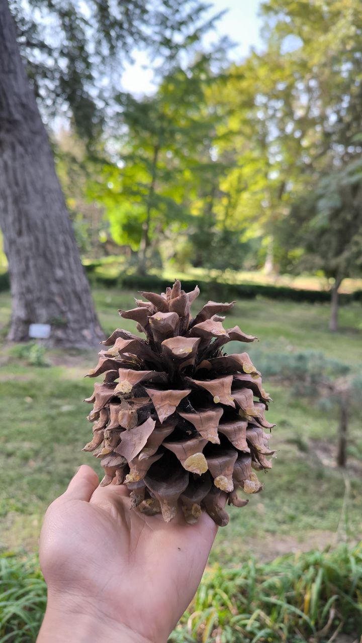 college_of_agriculture_natural_resources_of_university_of_tehran