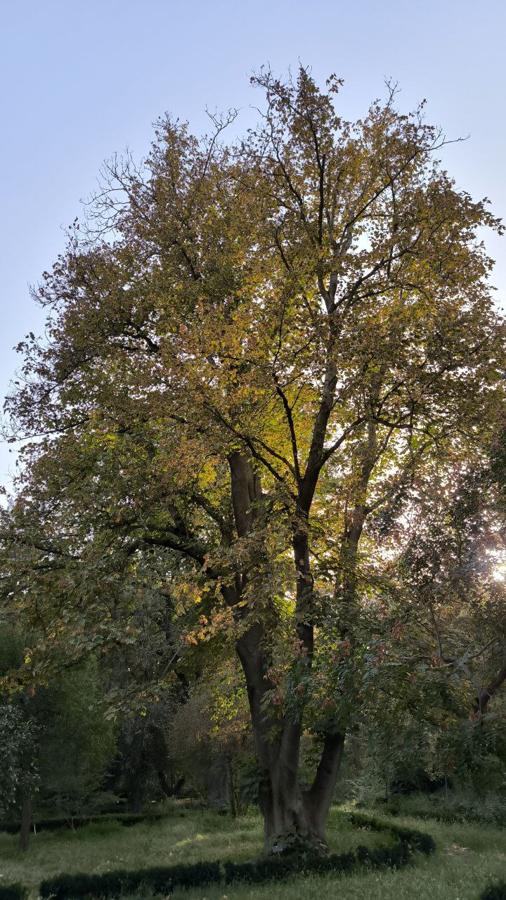 college_of_agriculture_natural_resources_of_university_of_tehran
