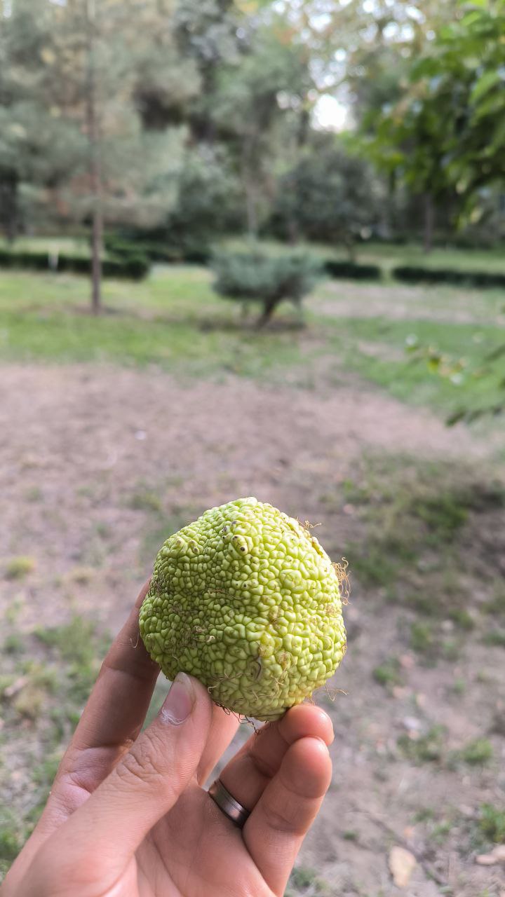 college_of_agriculture_natural_resources_of_university_of_tehran
