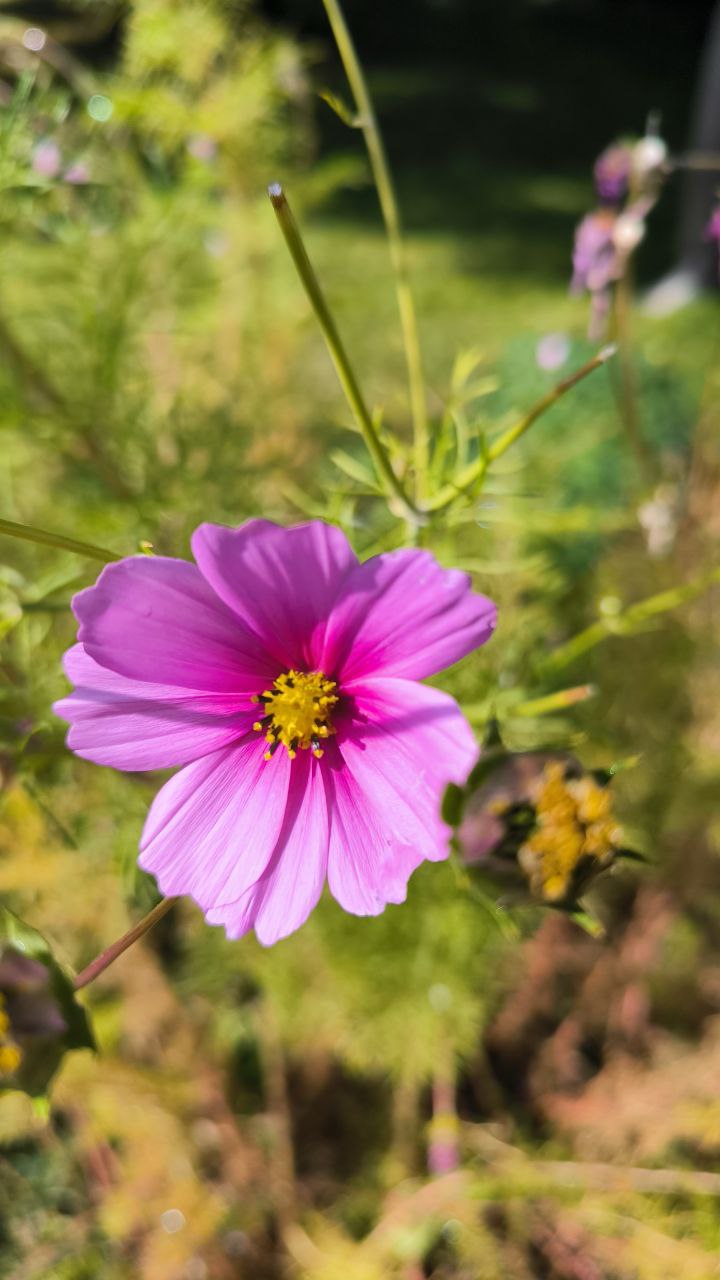 national_botanical_garden_of_iran