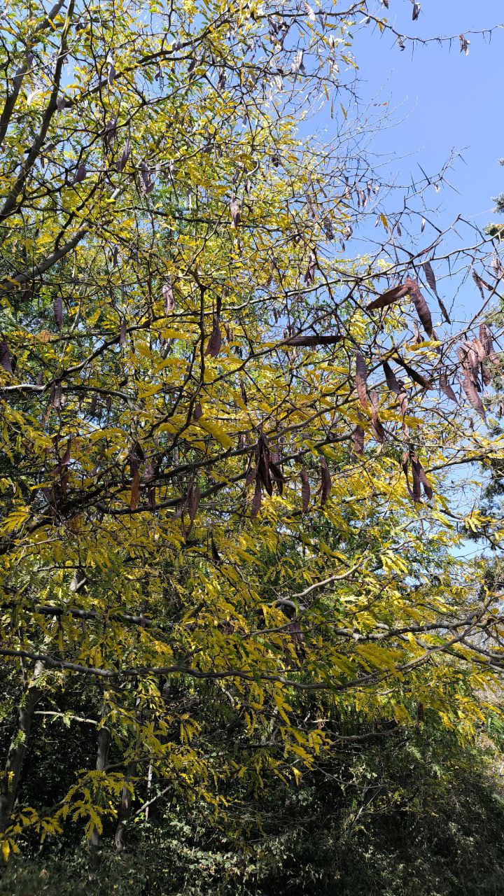 national_botanical_garden_of_iran