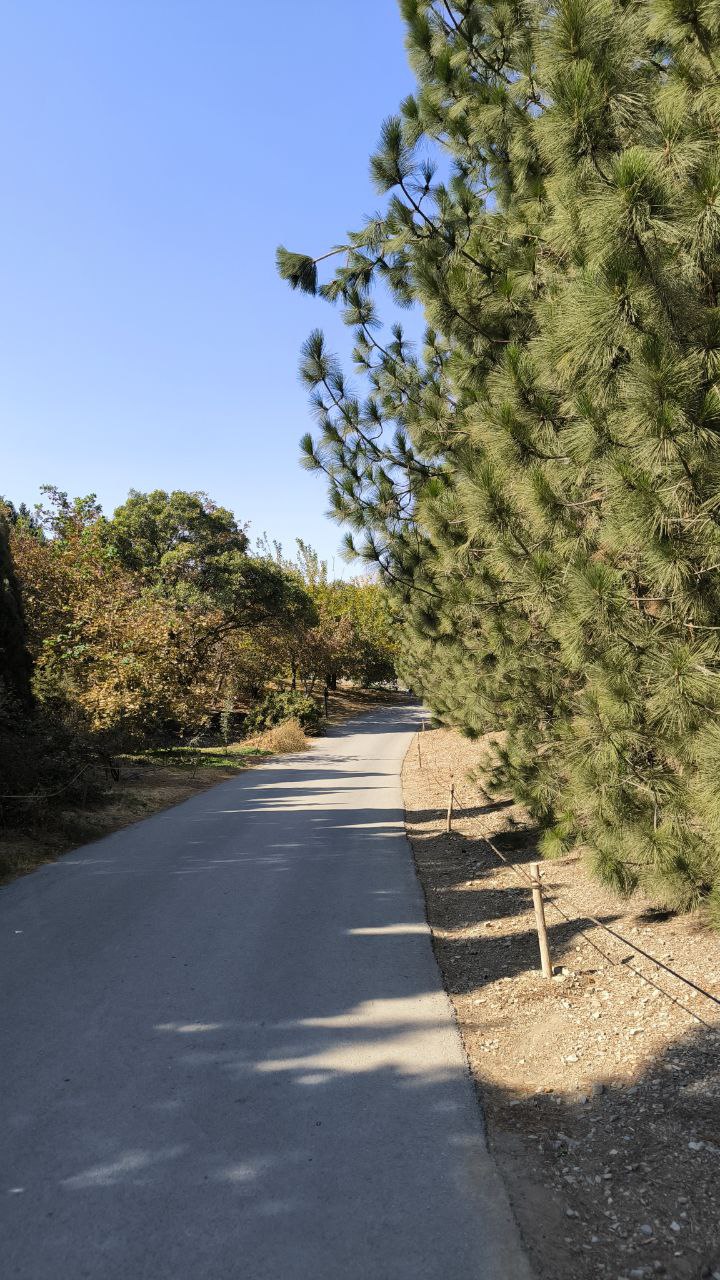 national_botanical_garden_of_iran