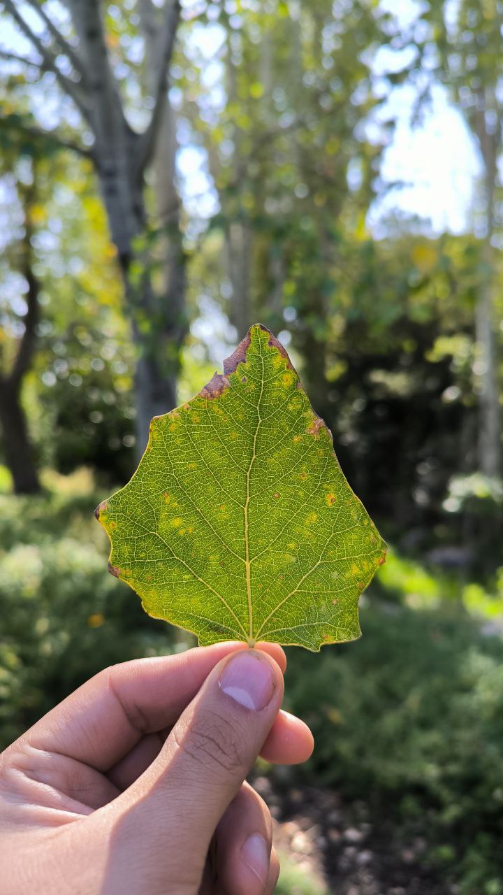 باغ ملی گیاه شناسی ایران سفر دوم