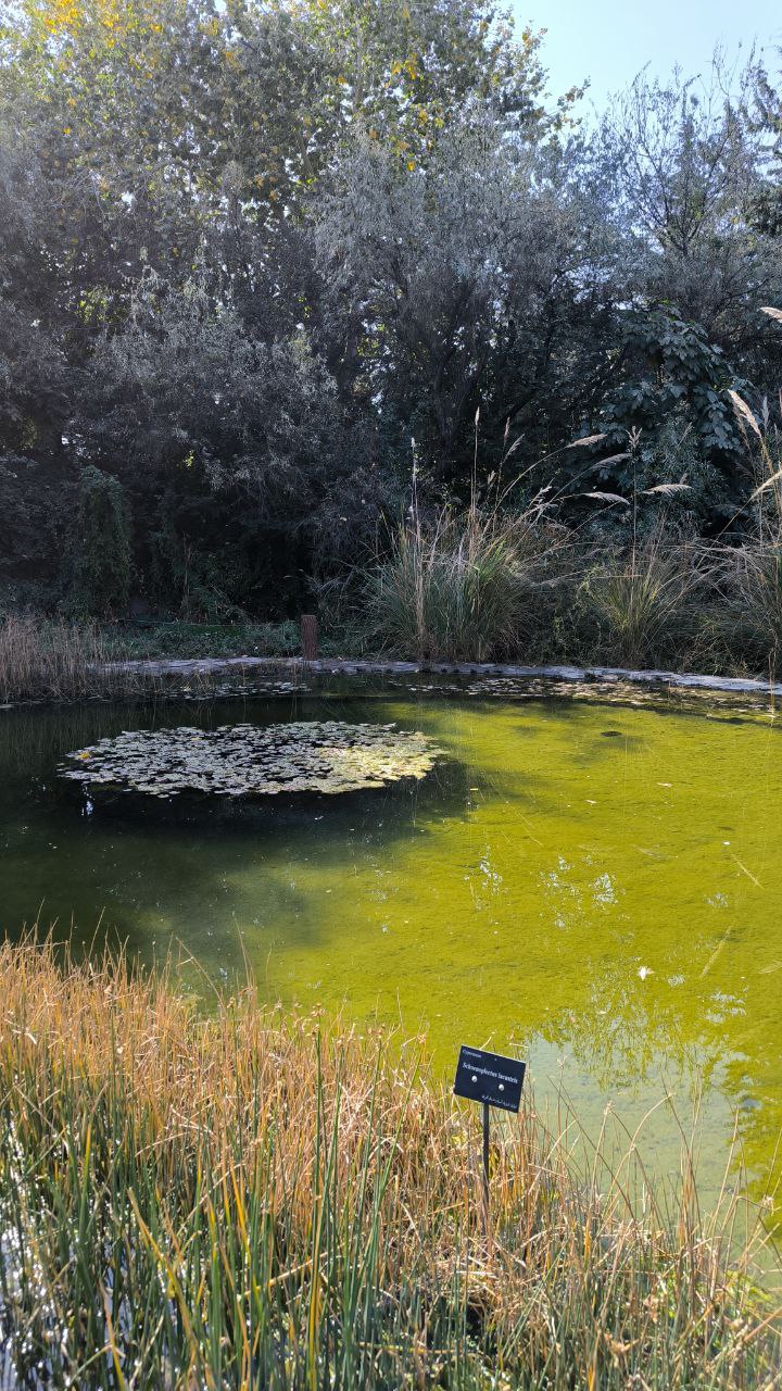 national_botanical_garden_of_iran