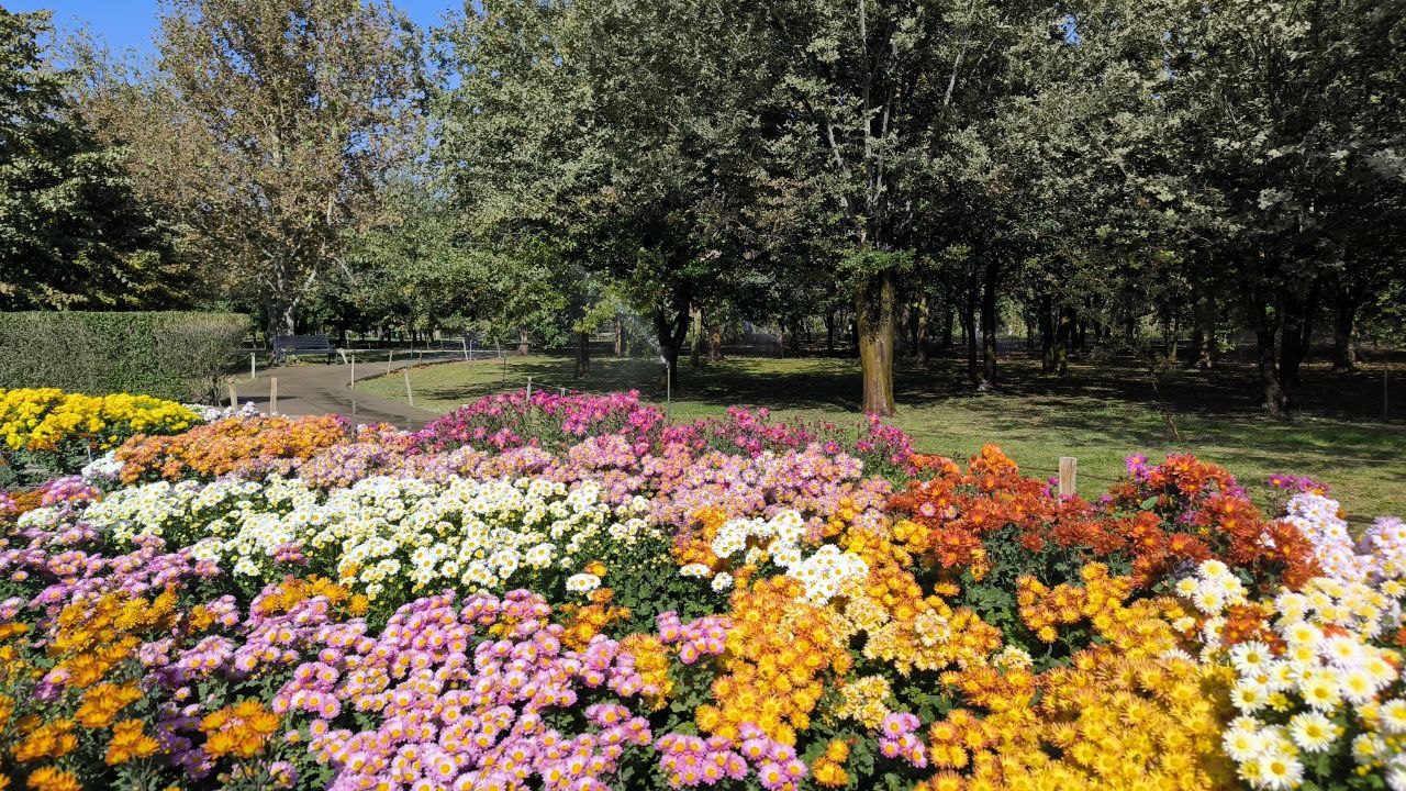 national_botanical_garden_of_iran