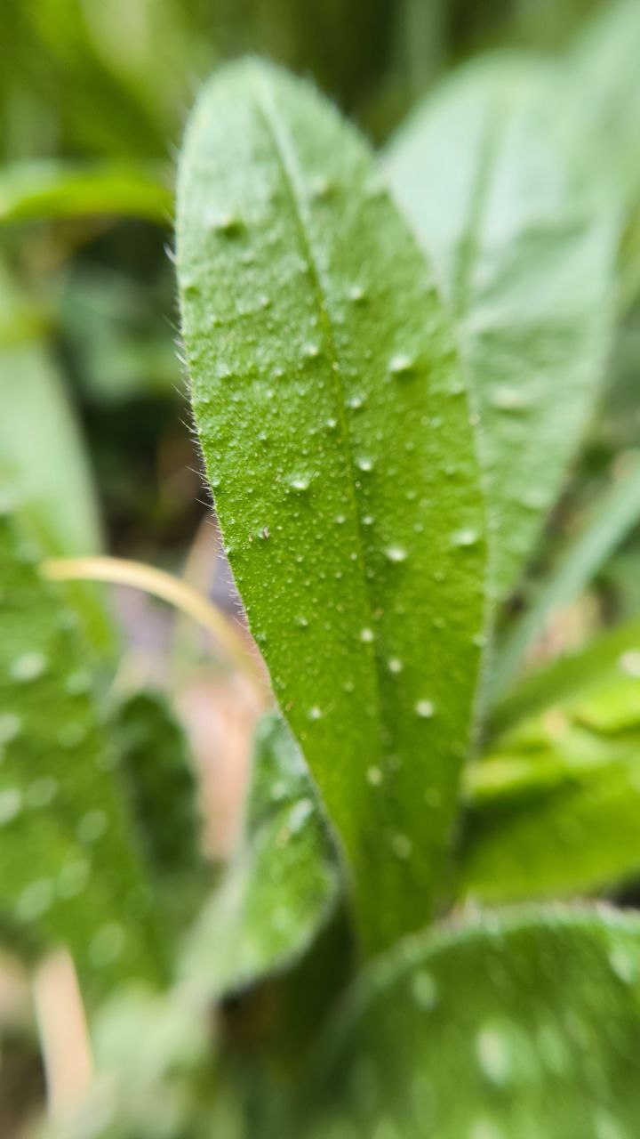 college_of_agriculture_natural_resources_of_university_of_tehran