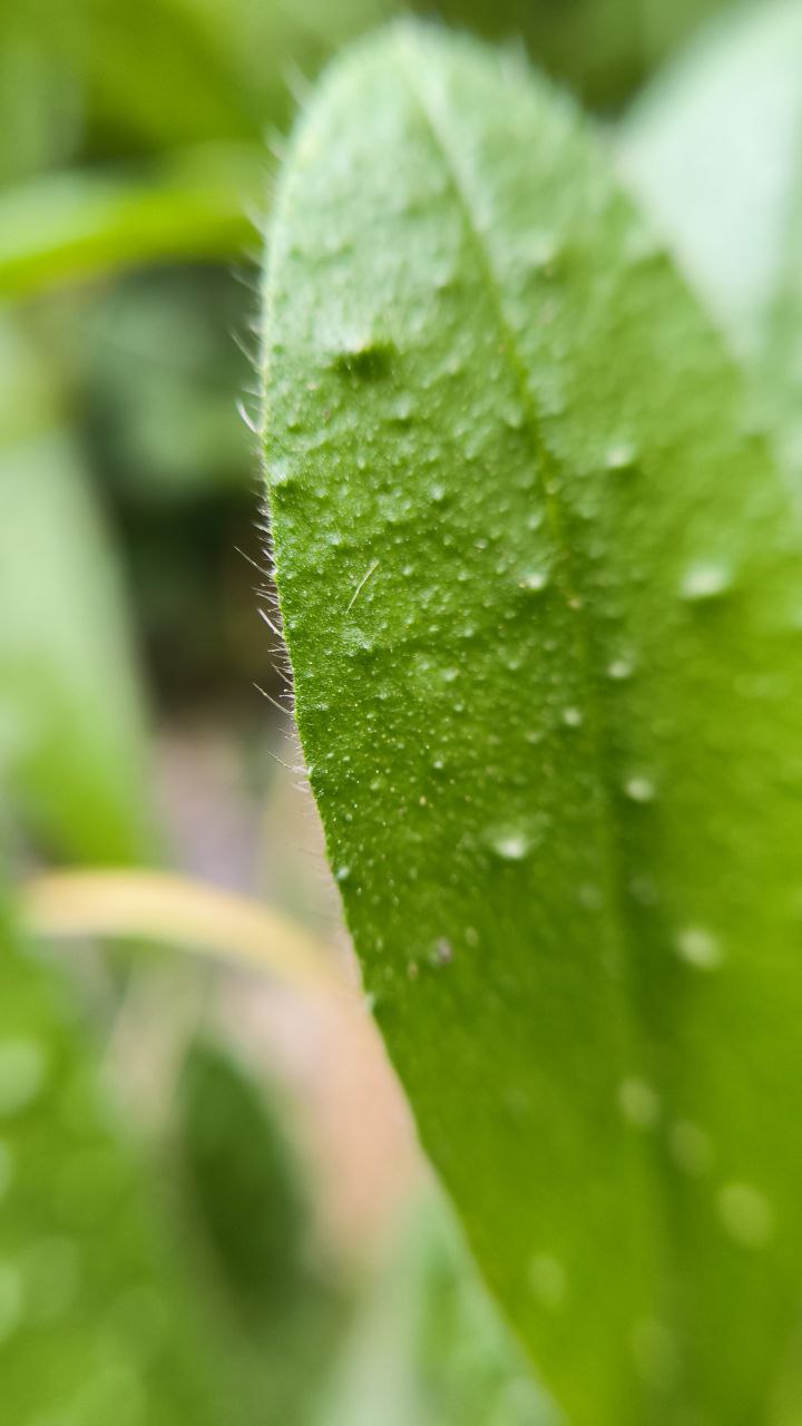 college_of_agriculture_natural_resources_of_university_of_tehran
