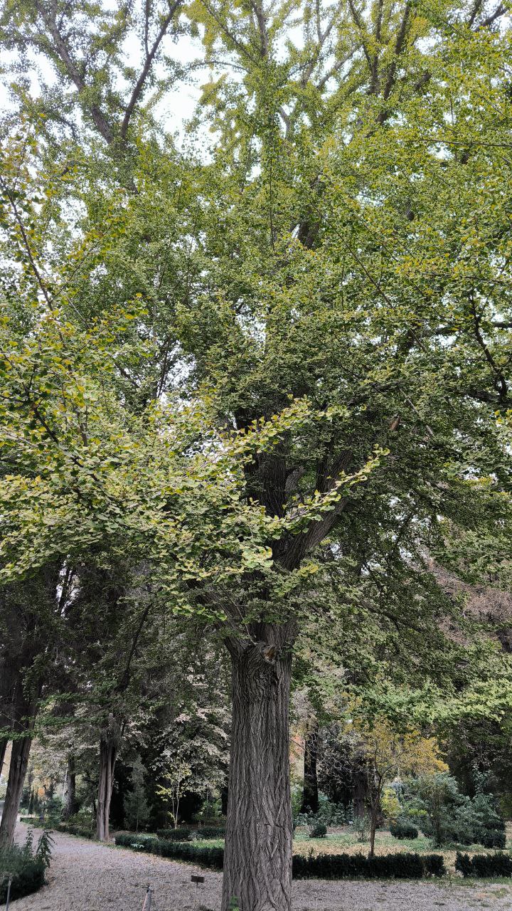 college_of_agriculture_natural_resources_of_university_of_tehran
