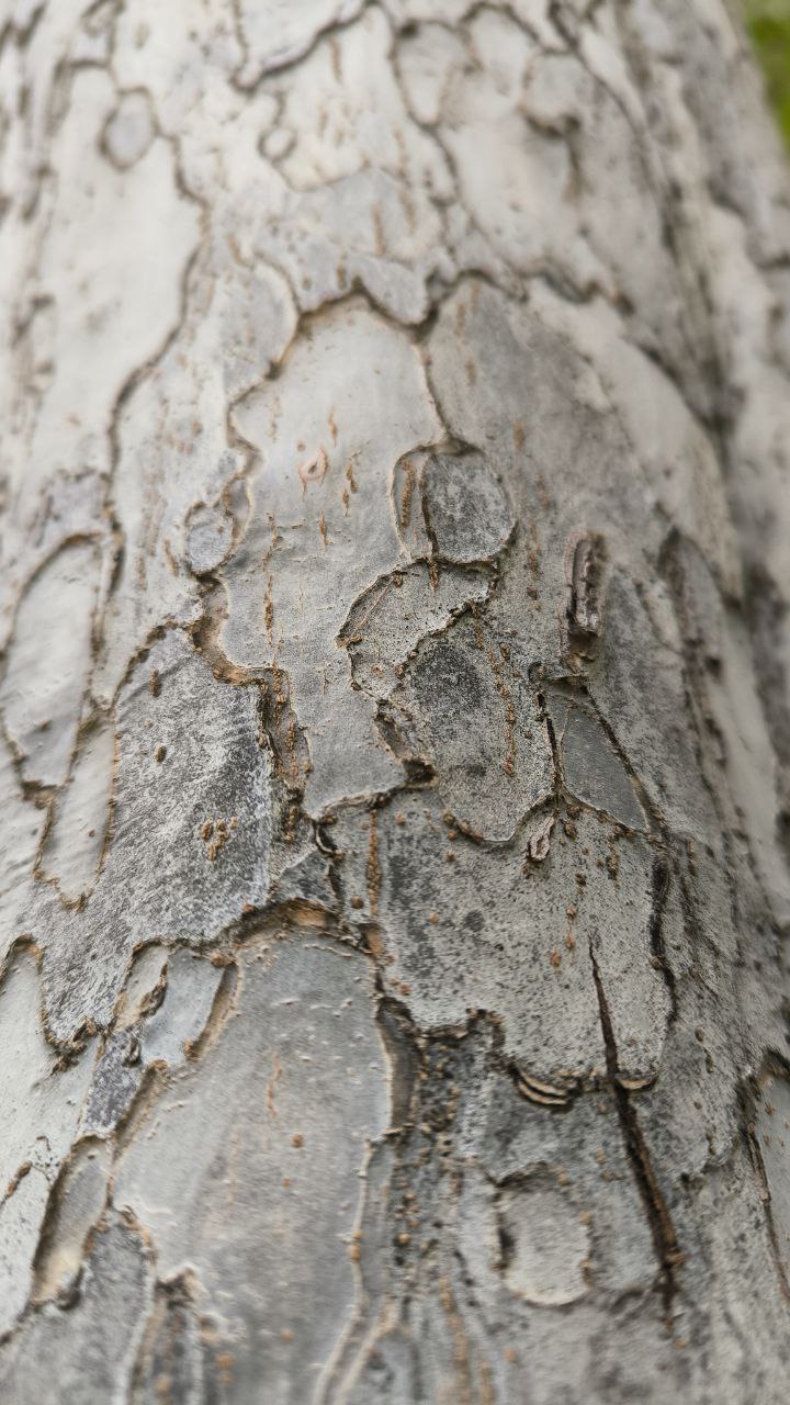 college_of_agriculture_natural_resources_of_university_of_tehran