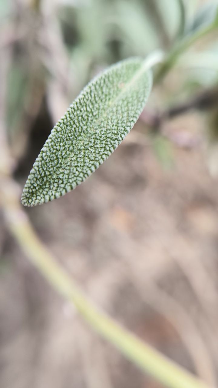 college_of_agriculture_natural_resources_of_university_of_tehran